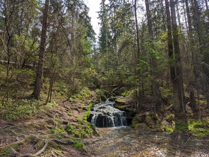 Идеи на тему «Дача: Пруды, водопады, фонтаны» (23) | водопады, пруды, фонтаны