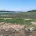 Little Neck Bay Marshland