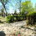 Jewish cemetery