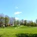 Park miejski in Żary city