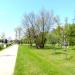 Park miejski in Żary city