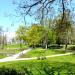 Park miejski in Żary city