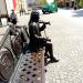 Ławeczka z  Georgem Telemannem in Żary city