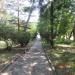 Дорога в городе Сочи