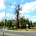 Rondo Orląt Lwowskich in Żary city