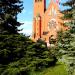 Kościół Wniebowzięcia Najświętszej Maryi Panny w Żarach