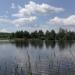Pond