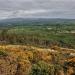 Knockmealdown Mountains (Sléibhte Chnoc Mhaoldomhnaigh)