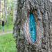 Деревья с рисунками (Художественная Тропа) в городе Новосибирск