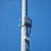 Базовая станция № HB0735 сети подвижной радиотелефонной связи ООО «Т2 Мобайл» (Tele2) стандартов DCS-1800 (GSM-1800), LTE-1800 и LTE-2300