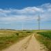 Wind Farm Zelvensky