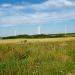 Wind Farm Zelvensky