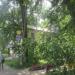 просп. Александра Корсунова, 3 в городе Великий Новгород