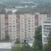 Большая Санкт-Петербургская ул., 116 в городе Великий Новгород