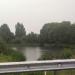 Pond