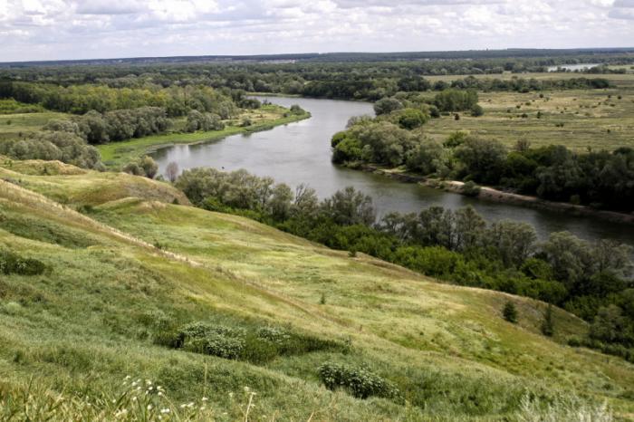 База отдыха Лукодонье - Урыв-Покровка,, Воронежская область, фото базы отдыха, цены, отзывы