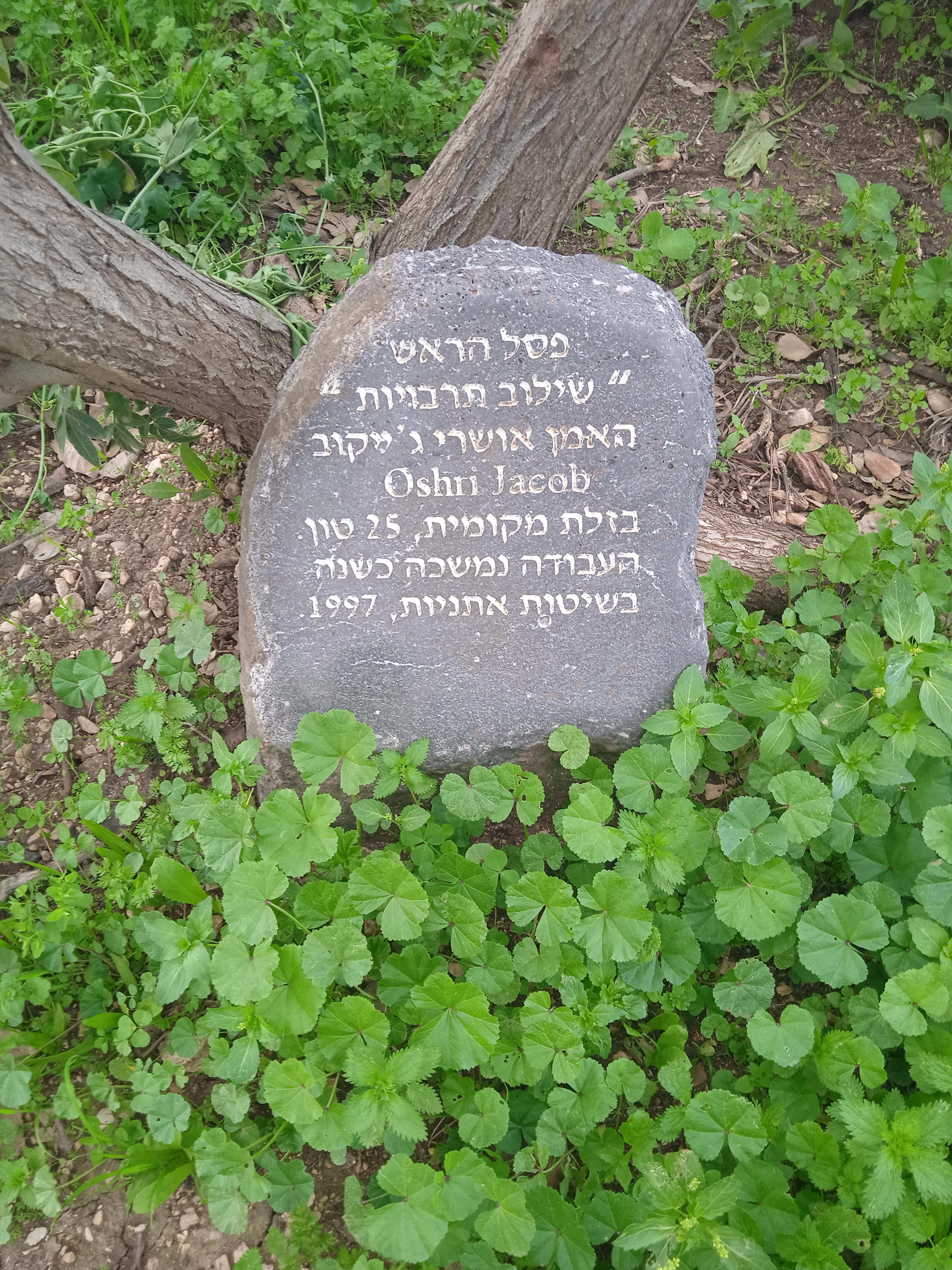 big-head-sculpture-merhavia-kibbutz