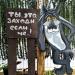 Детская игровая площадка в городе Каменск-Шахтинский