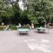 Парк «Свободный Сокол» в городе Липецк