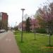 Naujakiemio skveras (lt) in Klaipėda city