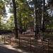 Веревочный парк Norway Park в городе Красногорск