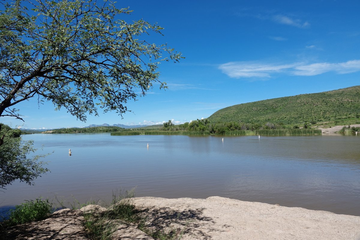 Escape to Arizona's Hidden Gem: Patagonia Lake State Park