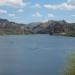 Saguaro Lake