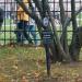 Каменные надгробья и могилы в городе Москва