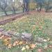 Остатки фундамента разрушенного дома в городе Москва