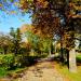 Park miejski in Olsztynek city