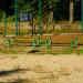 Trybuny in Olsztynek city