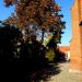 Teren kościoła (pl) в городе Ольштынек (Хохенштейн)