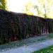 Mur zamkowy in Nidzica city