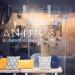 Antho's B&B (nl) in Maaseik city