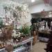Anthos Bloemen (nl) in Maaseik city
