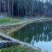 Пруд в городе Рощино