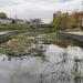 Заболоченный участок отстойников в городе Москва