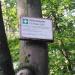 Rettungspunkt 08-Wald 009 (de) in Cologne city