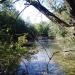 Teich (de) in Cologne city