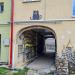 Двор кошек в городе Гвардейск