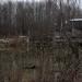 Болото в городе Новое Девяткино