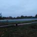 Weide (de) in Cologne city