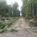 Территория бывшей воинской части в городе Череповец