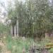 Руины в городе Череповец