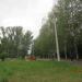 Берёзовая роща в городе Череповец