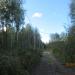 147-й микрорайон в городе Череповец