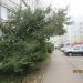 Цветник в городе Череповец