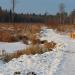 Скамейка в городе Гатчина