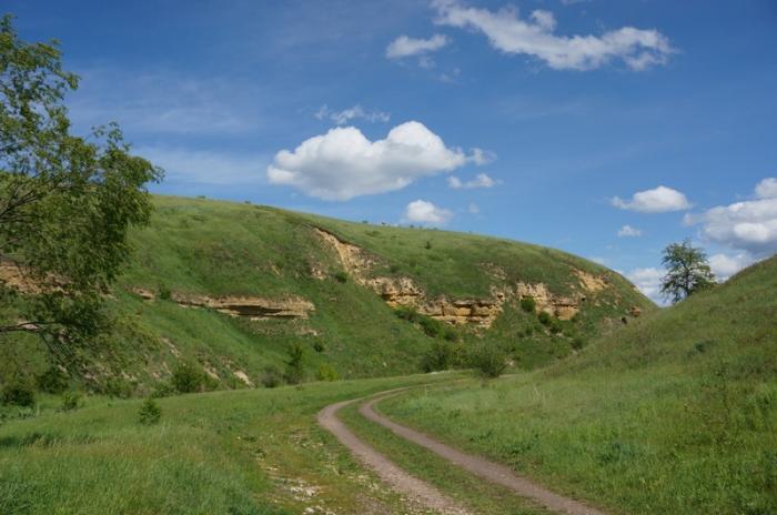 Скалы