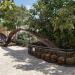 Bent spoon in Tel Aviv-Yafo city
